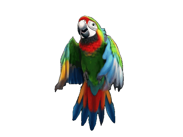 Pirate Parrot